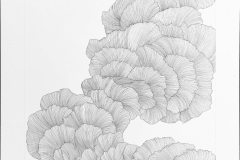 9x-01