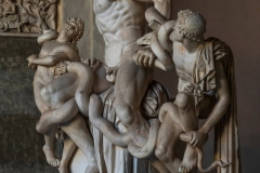 laocoon-et-ses-fils-musee-vatican-pio-clementino-rome-italie-01